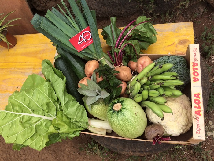Envera dona más de 1.500 kilos de alimentos ecológicos a Cruz Roja