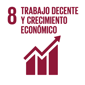 S_INVERTED SDG goals_icons-individual-RGB-08