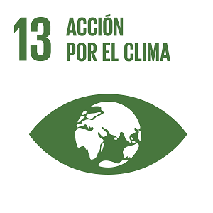 S_INVERTED SDG goals_icons-individual-RGB-13