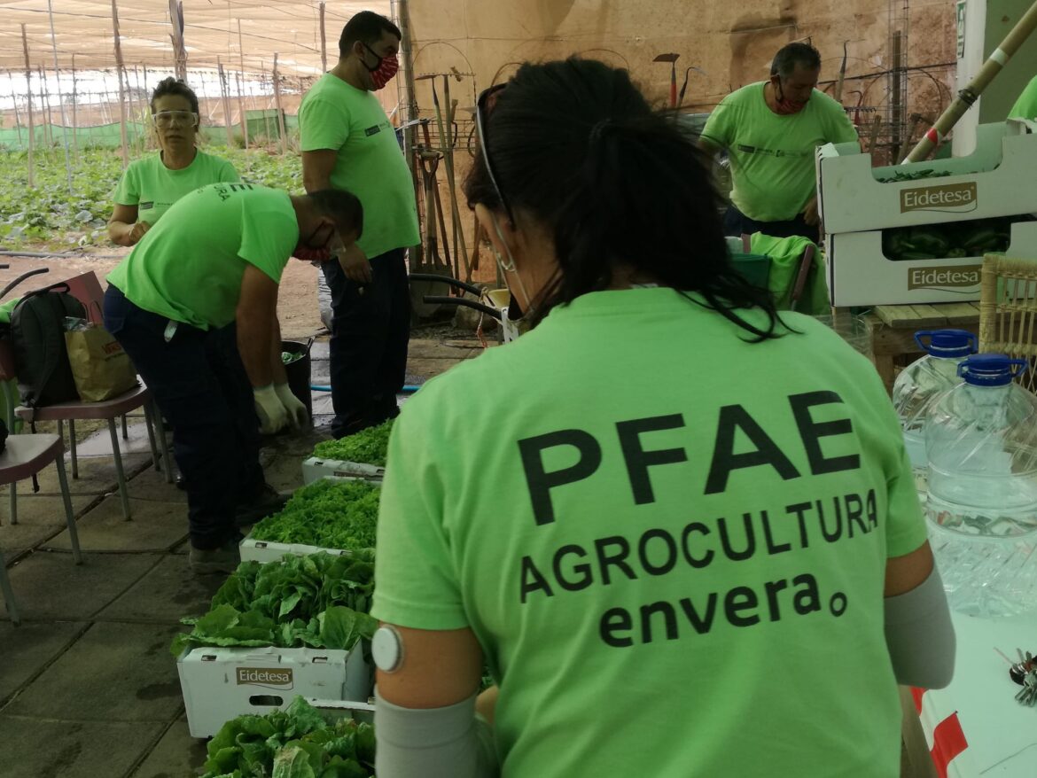 Entrega al Banco de alimentos de Las Palmas