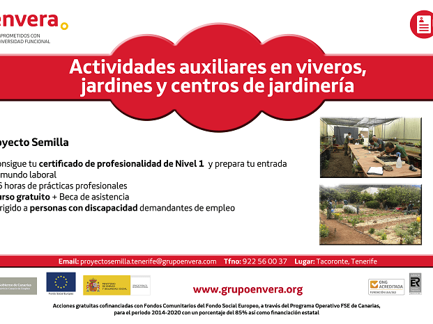 Proyecto semilla 2