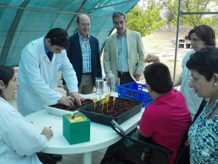fundacion_globomedia_envera